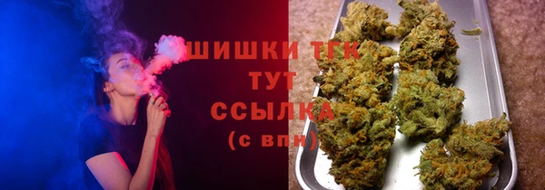 сатива Нефтекумск