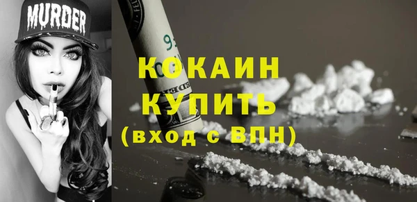 apvp Бикин