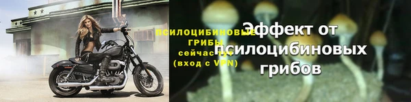 мяу мяу мука Нефтегорск