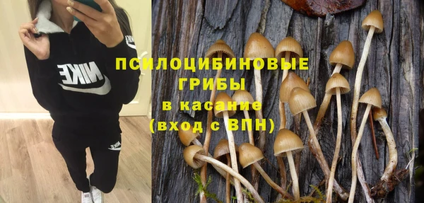 трава Новодвинск