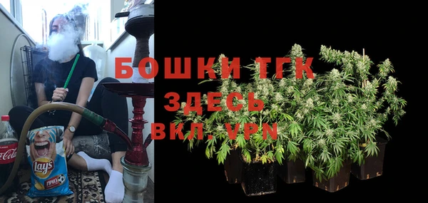 apvp Билибино