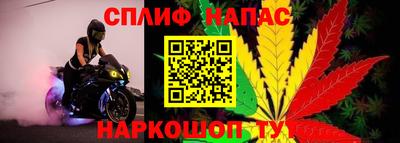 гидропоника Краснокаменск