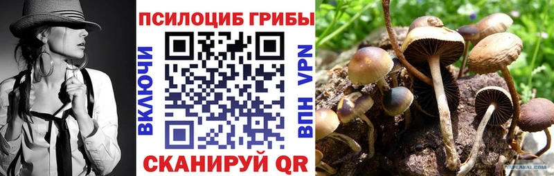 купить  цена  Скопин  Галлюциногенные грибы Magic Shrooms 
