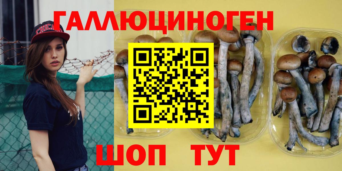Скопин  Псилоцибиновые грибы MAGIC MUSHROOMS  Псилоцибиновые грибы ЛСД  Вход с VPN 