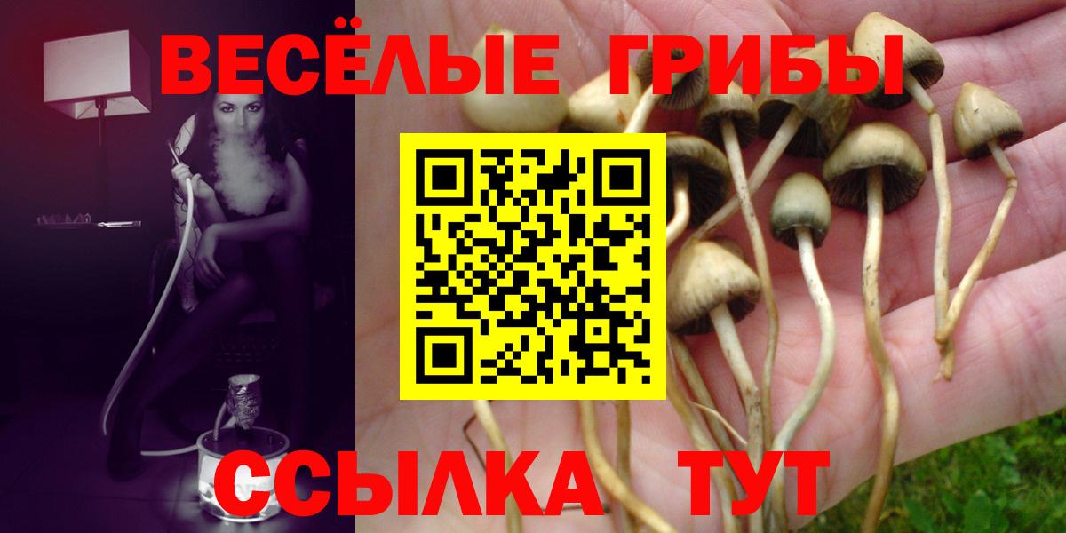 Галлюциногенные грибы прущие грибы  Скопин 